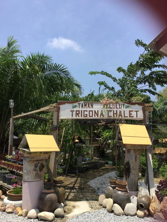 马江 Trigona Chalet酒店 外观 照片